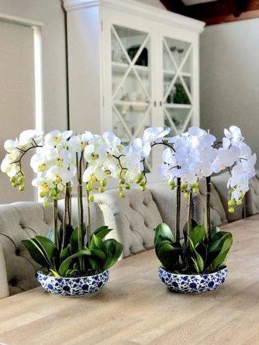 floweravenue.com.au Advantages Of Ordering Flowers Online